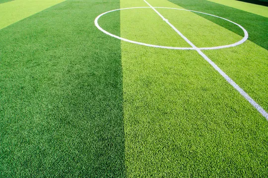 NBA球员在比赛中扣篮 - WCBA直播体育NBA直播